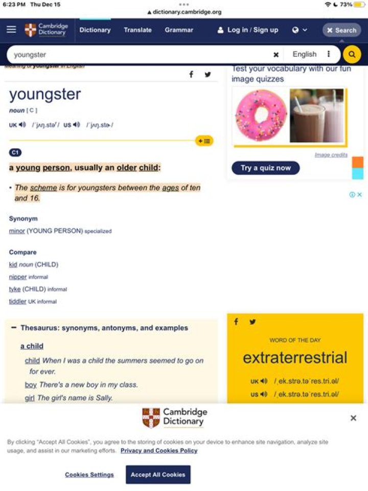 What is Youngster?