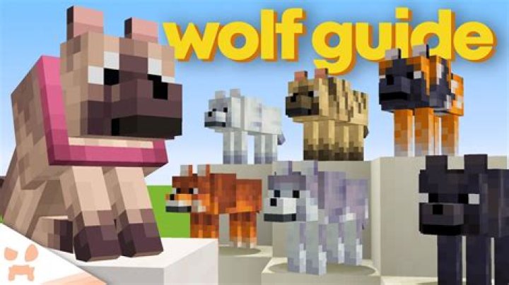 Where did my dog in Minecraft go?