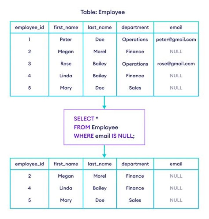 Where does the NULL in function output come from?
