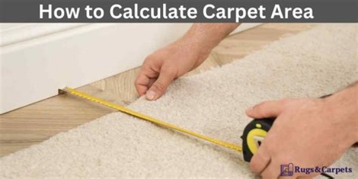 Where is the Carpet?