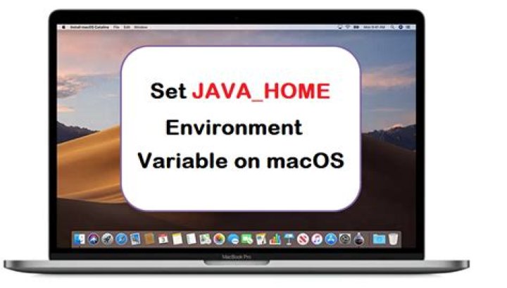 Where is the $HOME environment variable set?