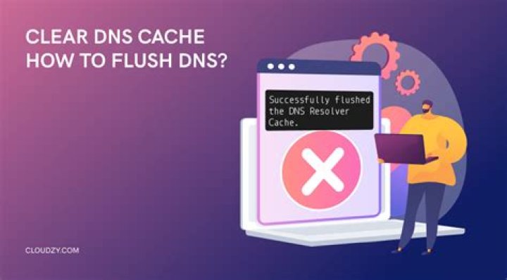 Which service is responsible for my networking? How to flush DNS Ubuntu 18.04.2 LTS?