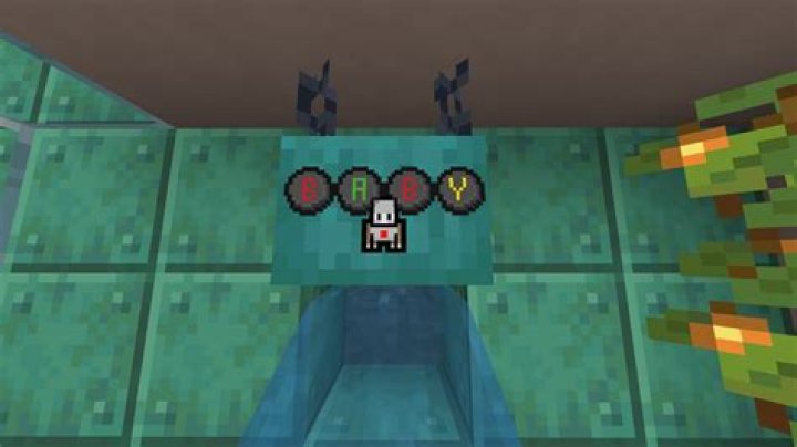 Which Unicode symbols is Minecraft capable of displaying?