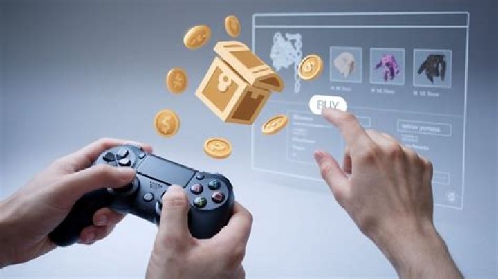 Why are people who spend a lot of money on video game micro-transactions called 