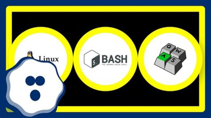 Why does Ctrl + V not paste in Bash (Linux shell)?