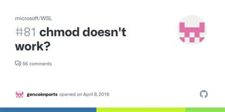 Why doesn't chmod work in this case?