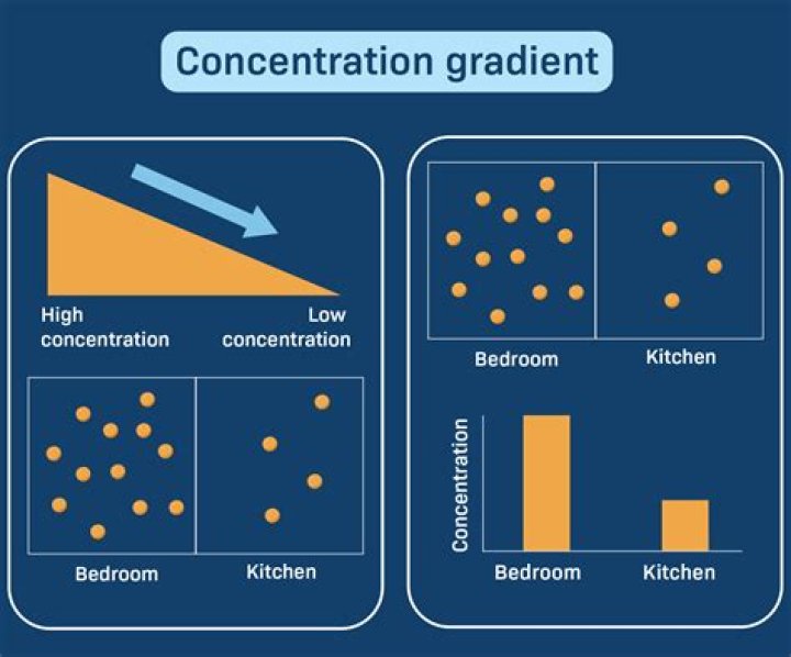 Why is gradient noise better quality than value noise?