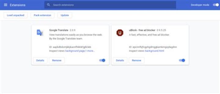Why is my Chromium extensions folder empty?