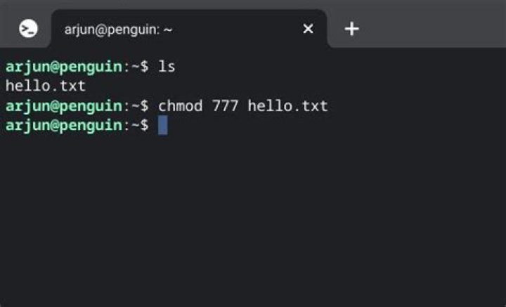 Why wouldn't one just use chmod 777?