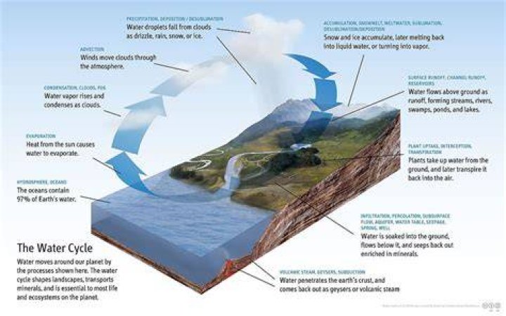 Wikipedia illustration of Cauchy condensation test