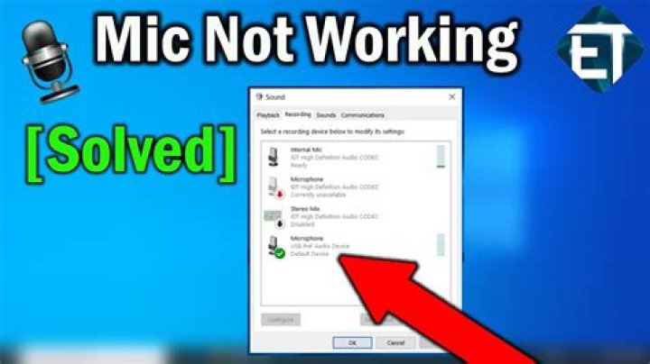 Windows 10 Built-in microphone not detected