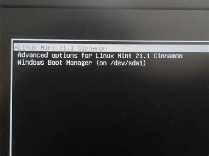 Windows Boot Manager showing linux