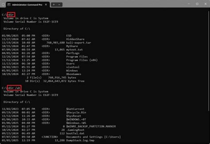 windows command prompt dir /q returns 