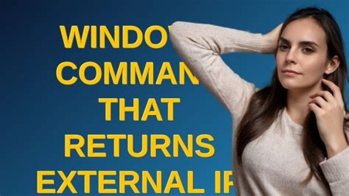 Windows command that returns external IP