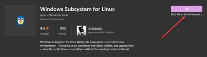 Windows Subsystem for Linux shows 