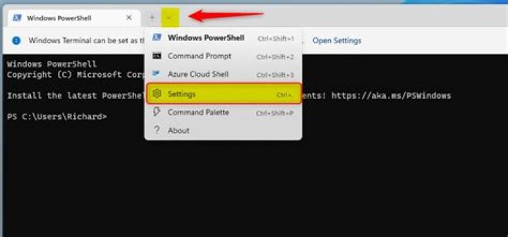 Windows Terminal Settings to select installed font family
