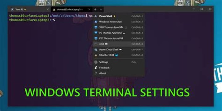 windows-terminal-settings