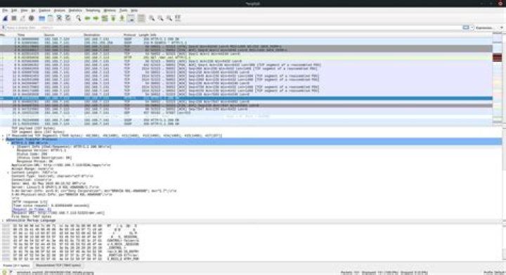 wireshark capture results